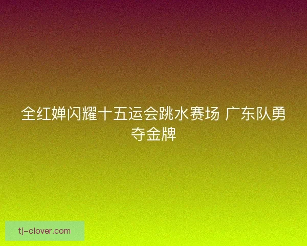全红婵闪耀十五运会跳水赛场 广东队勇夺金牌