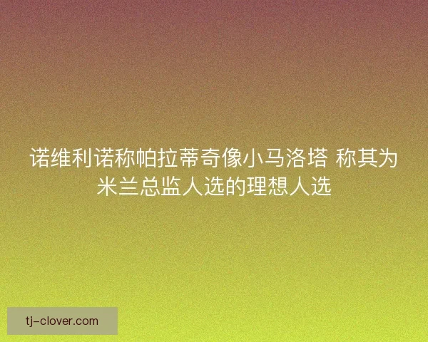 诺维利诺称帕拉蒂奇像小马洛塔 称其为米兰总监人选的理想人选